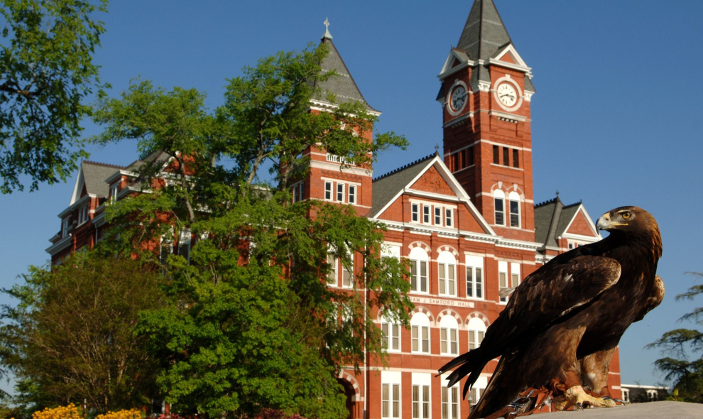 蘋果執行長Tim Cook母校–Auburn University奧本大學 全新AI Engineering碩士課程亮點與申請條件一次看