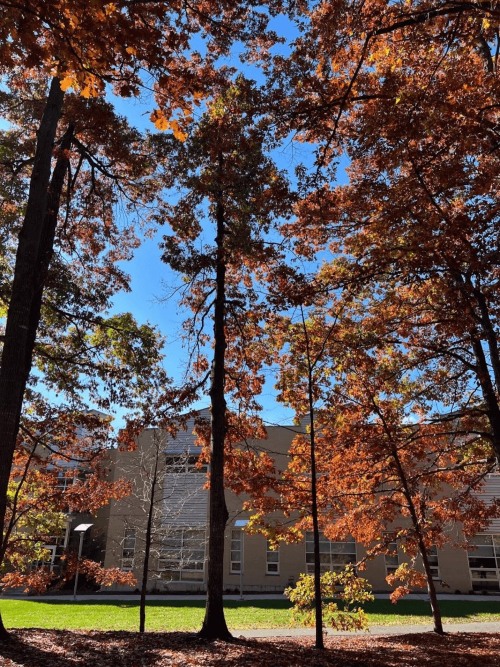 喬治梅森大學校園